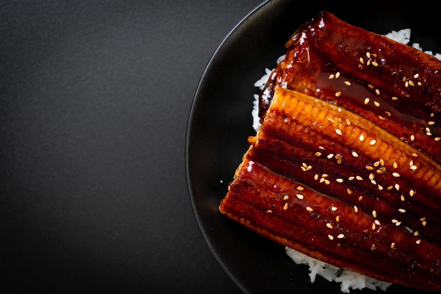 anguille japonaise grillée avec bol de riz ou unagi don photo