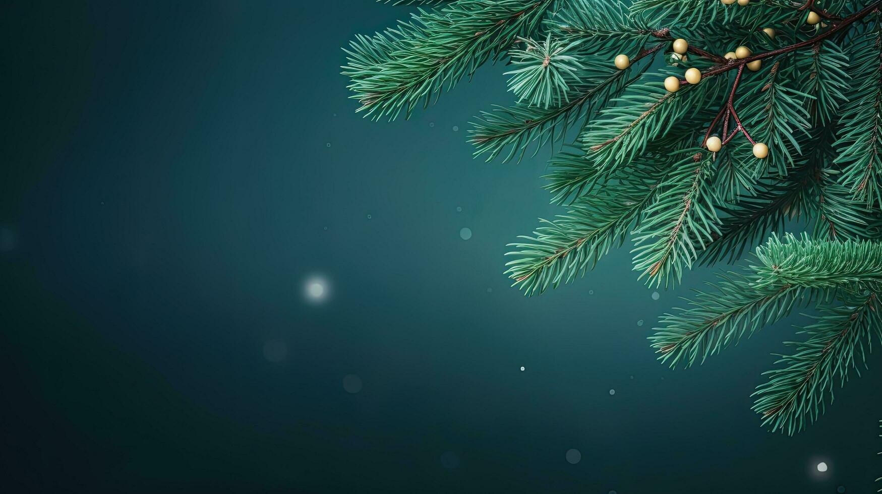 Noël vert Contexte avec sapin branches photo