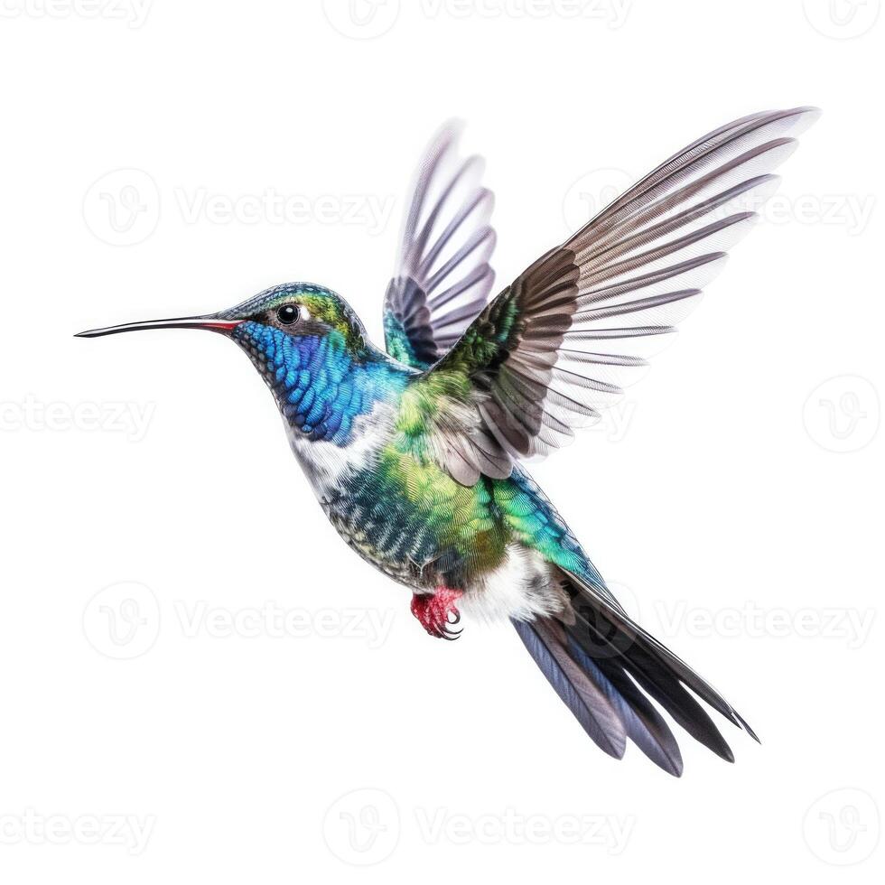 bleu vif vaste facturé colibri isolé. illustration ai génératif photo