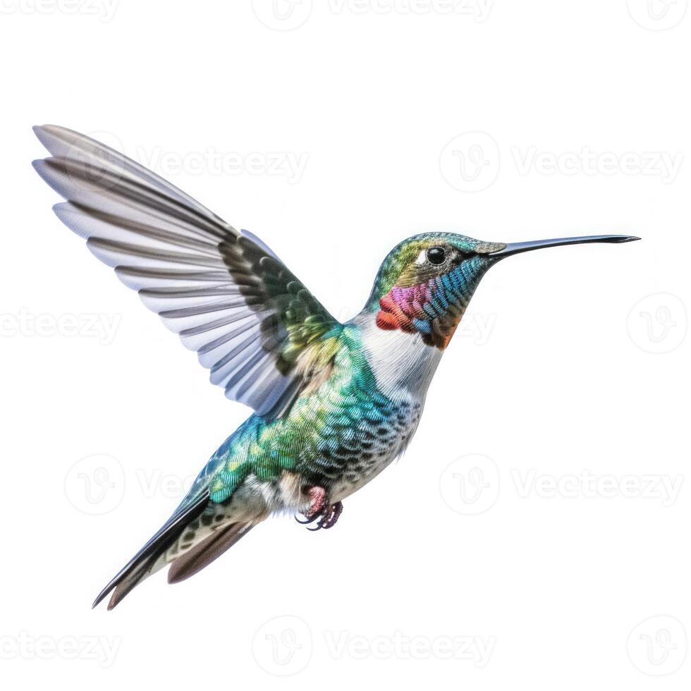 bleu vif vaste facturé colibri isolé. illustration ai génératif photo