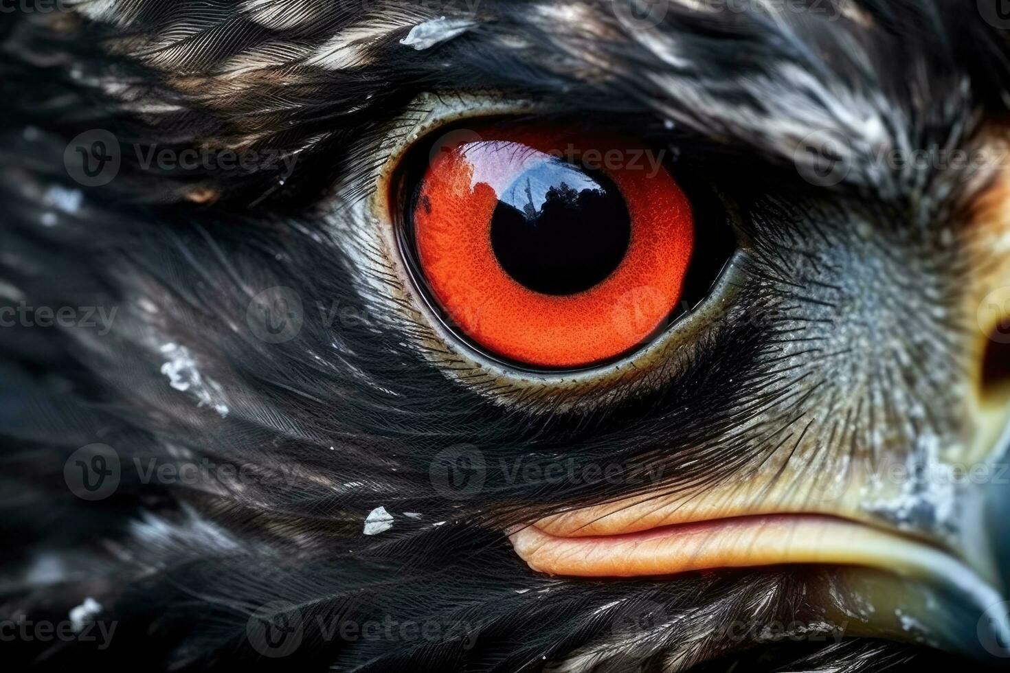 le expressif yeux de une majestueux oiseau dans une proche - en haut tir. génératif ai photo