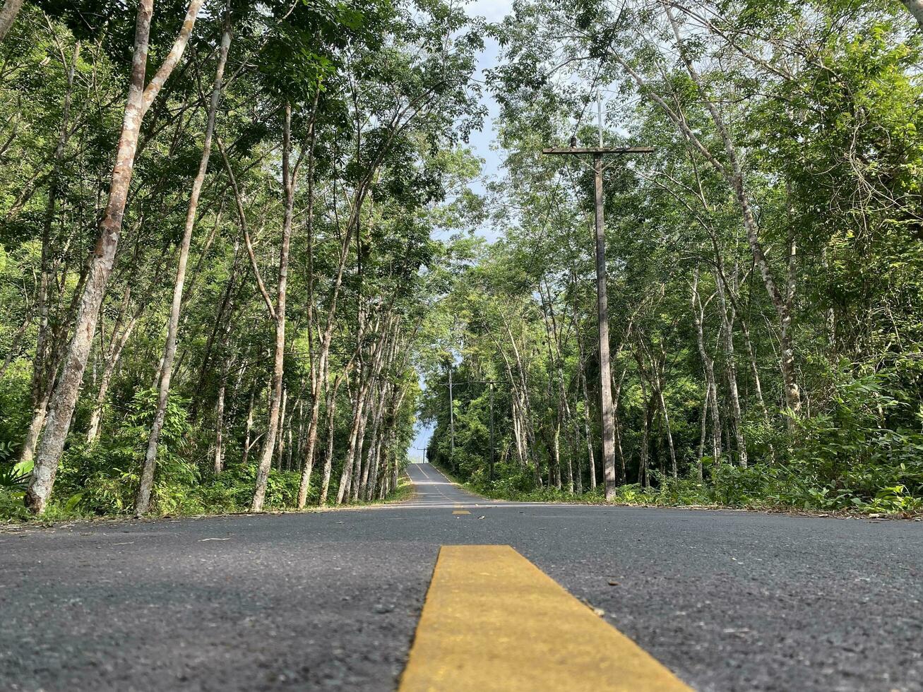 route asphalte dans le forêt la nature campagne de Thaïlande, route environnement haute Tension électrique pol. arbre jungle Voyage vert paysage. route façon Autoroute concept vue périple île naturel. photo