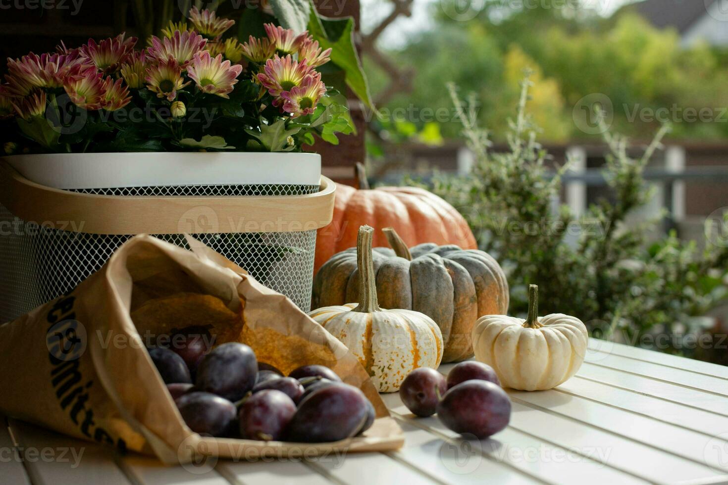 l'automne encore la vie avec saisonnier des fruits, légumes, fleurs et coloré citrouilles et mûr prunes. sélectif se concentrer. photo