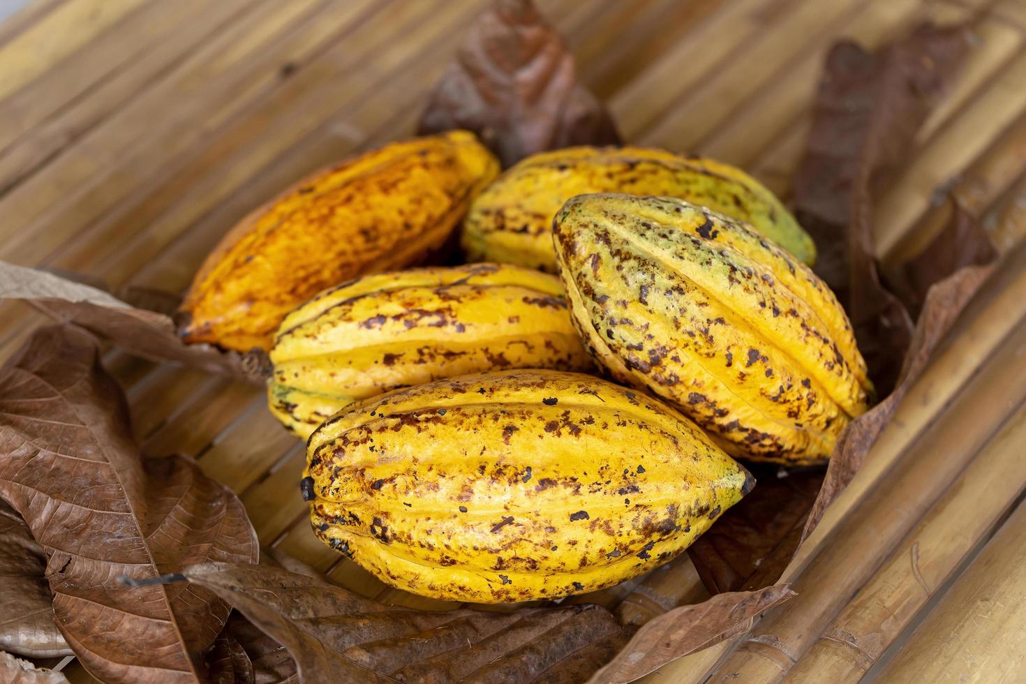 Fèves de cacao crues de fruits de cacao et fond de cabosse de cacao photo