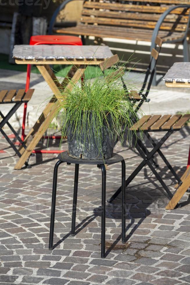 pot avec plante sur un tabouret photo