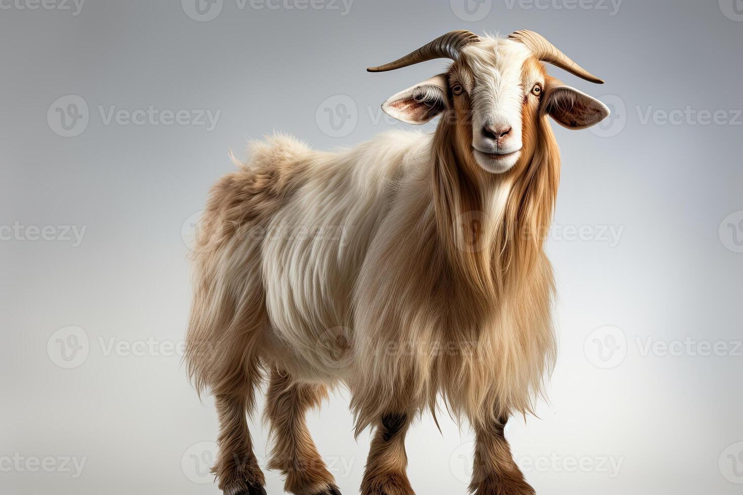 portrait toggenburg chèvre isolé sur blanc fabriqué avec génératif ai photo