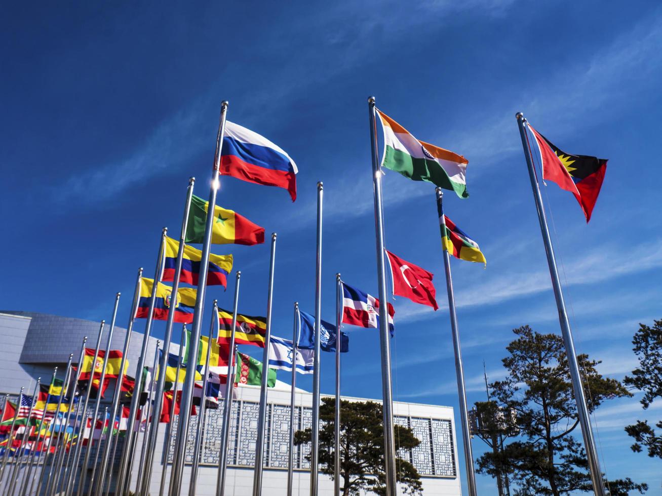 drapeaux des pays du monde sur des mâts. expo, ville de yeosu. corée du sud, janvier 2018 photo