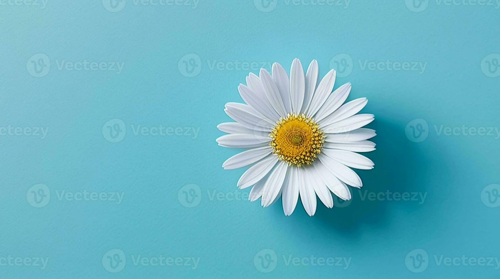 Marguerite fleurs avec lumière bleu papier Contexte bien pour multimédia numérique contenu création photo