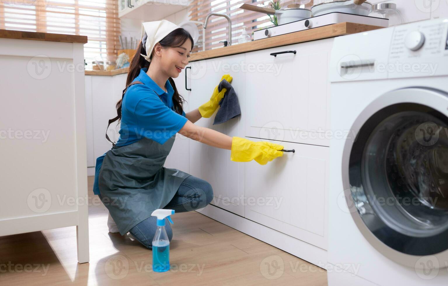 asiatique Jeune femme nettoyage Lave-vaisselle dans le cuisine. travaux  ménagers concept 27004490 Photo de stock chez Vecteezy