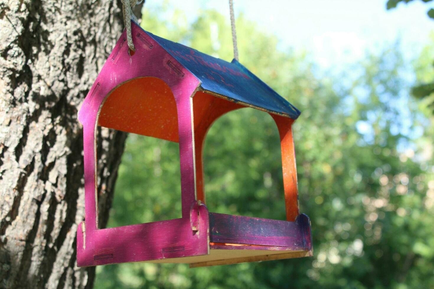 mangeoires pour oiseaux dans le parc de la ville photo