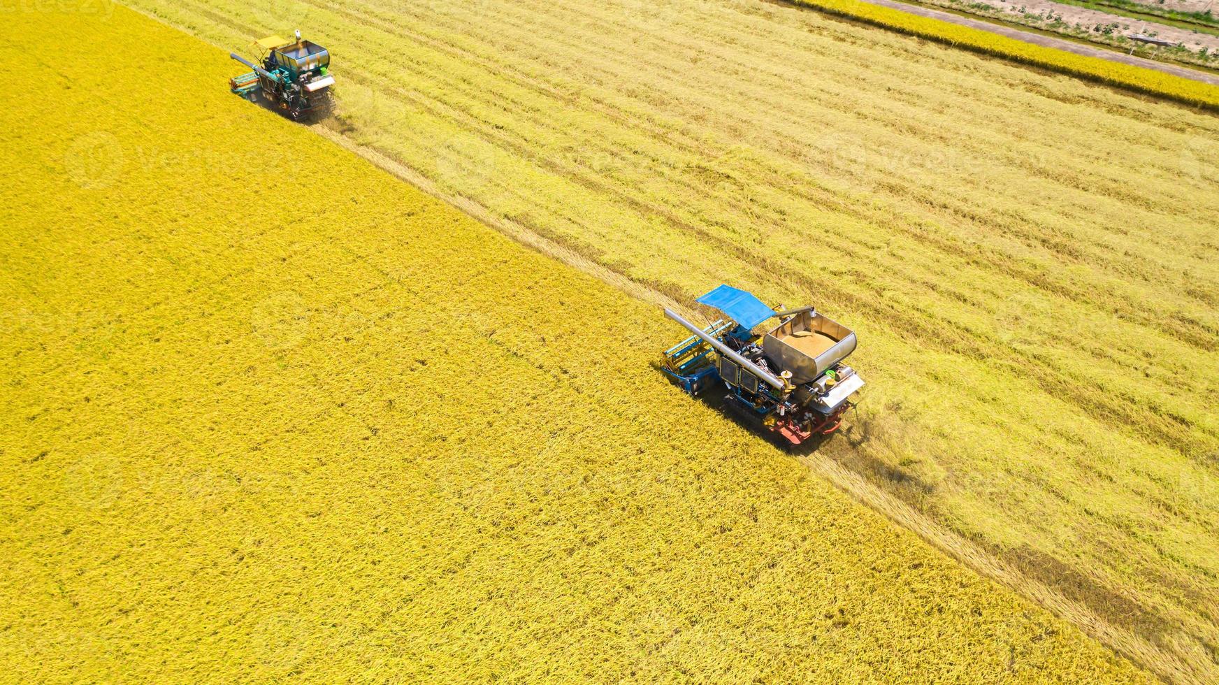 Vue aérienne de la machine de récolte travaillant dans la rizière d'en haut photo