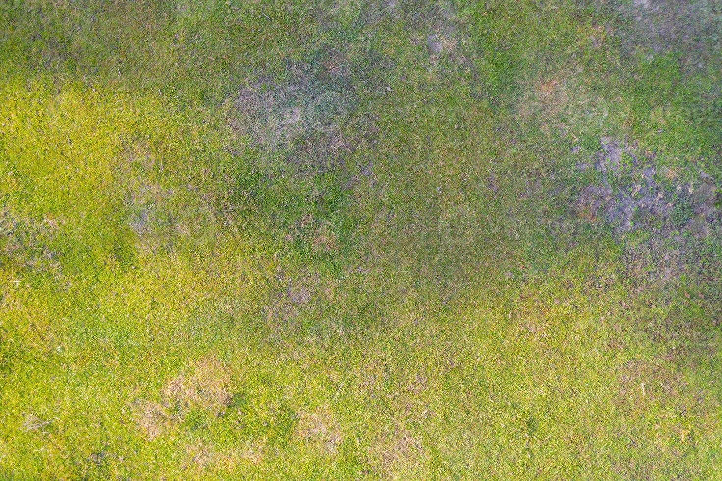 vue aérienne de dessus de la texture de l'herbe naturelle photo