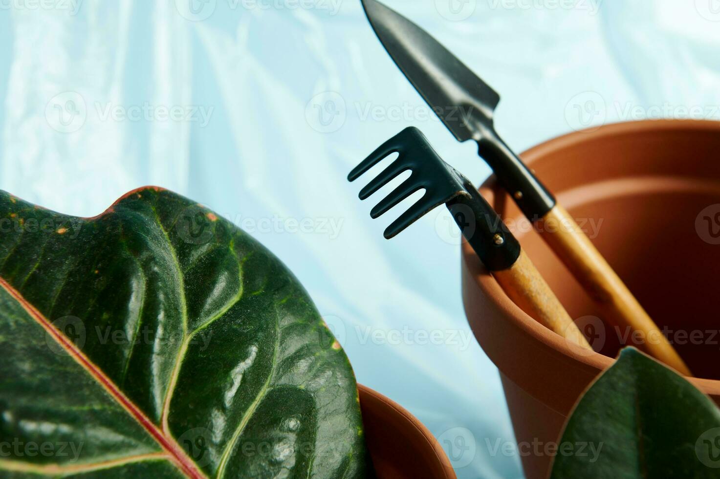 fermer de ensemble de petit jardinage râteau et pelle dans une terre cuite argile pot avec une vert feuille sur le premier plan photo