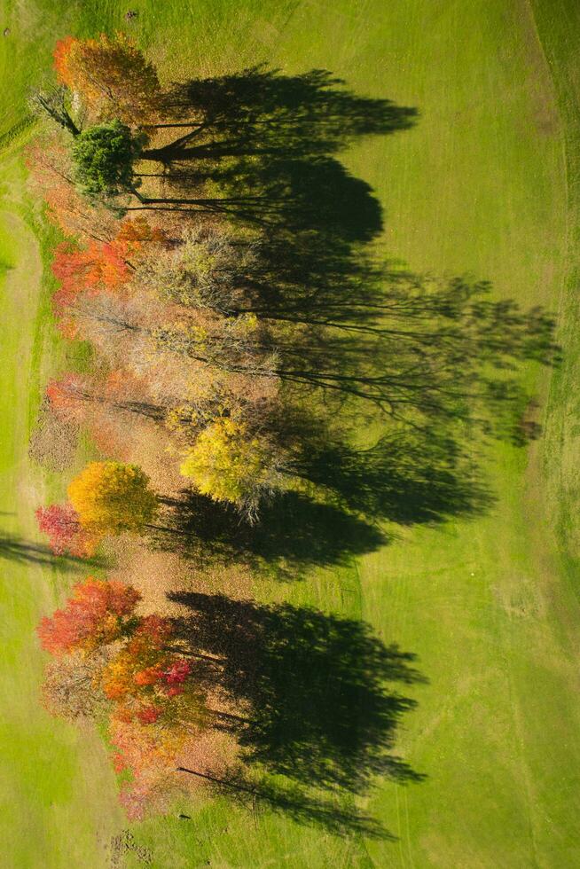 l'automne vu de au dessus photo