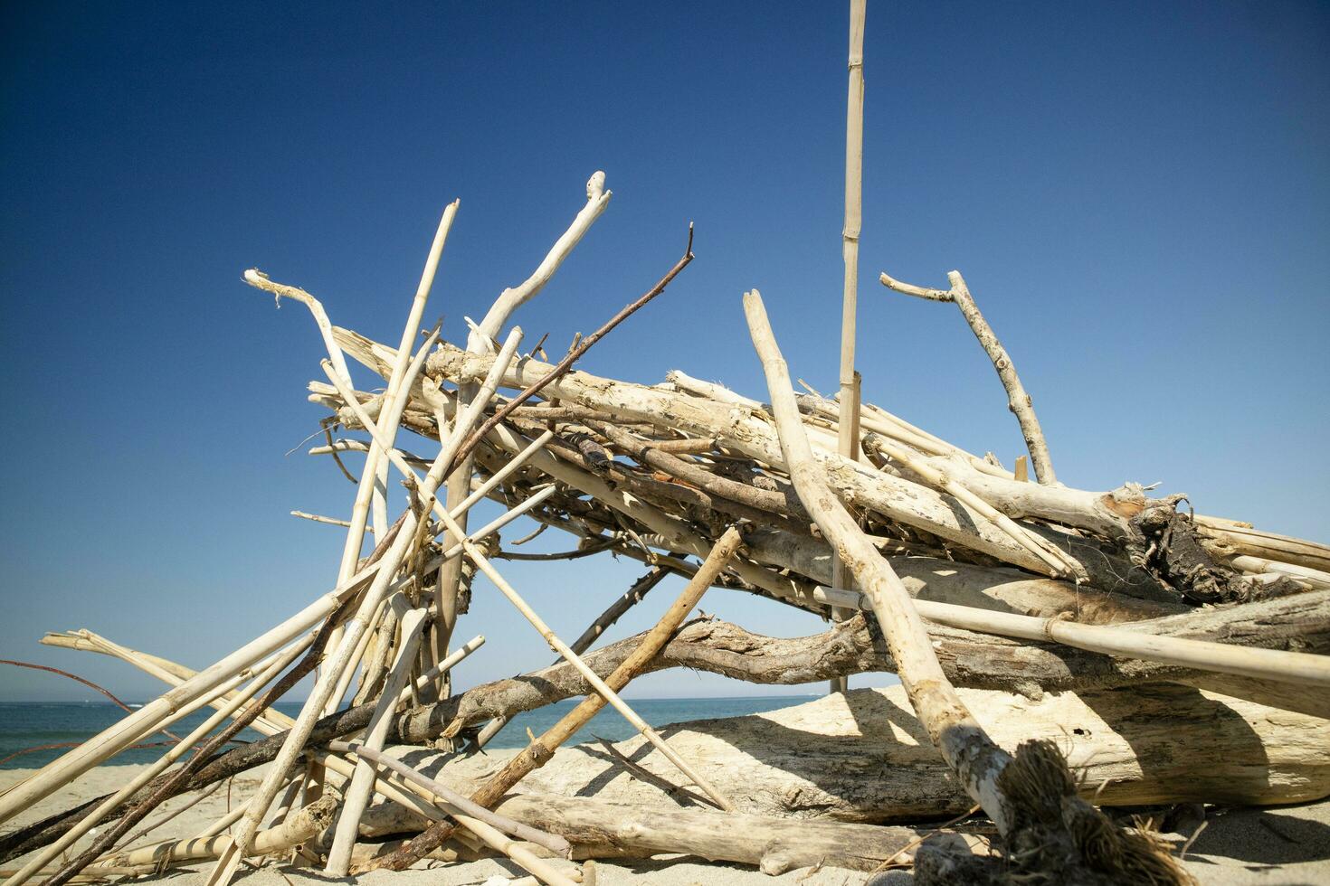 en bois constructions sur le plage photo