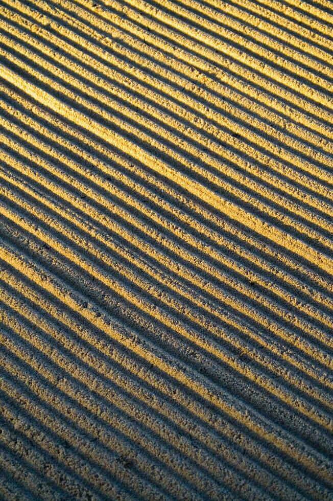 une proche en haut de une champ avec lignes de Jaune photo