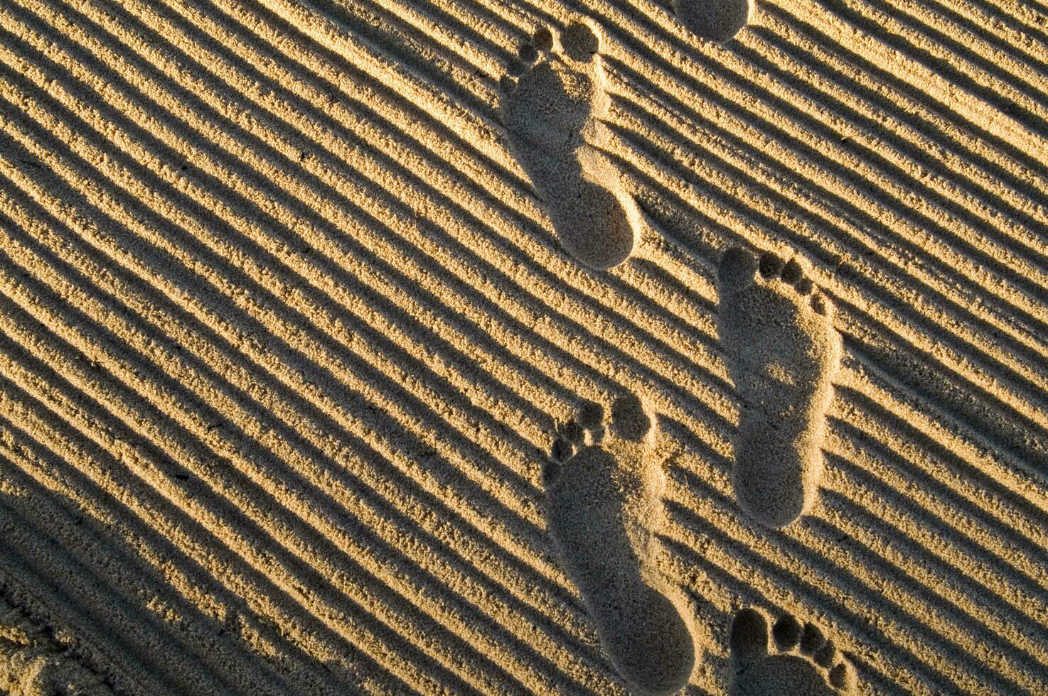 traces de pas dans le sable photo