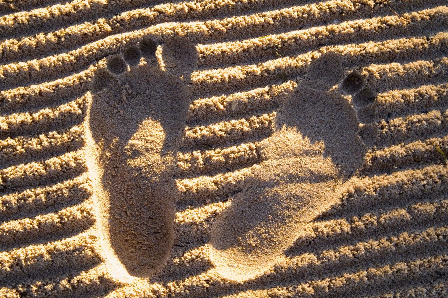 traces de pas dans le sable photo