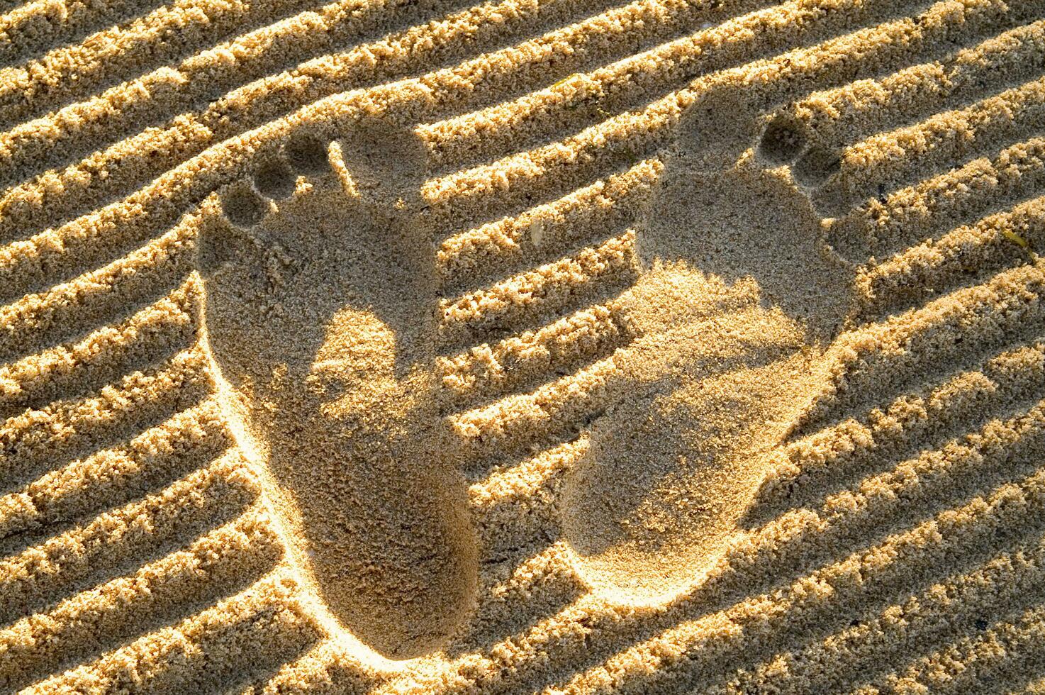 traces de pas dans le sable photo