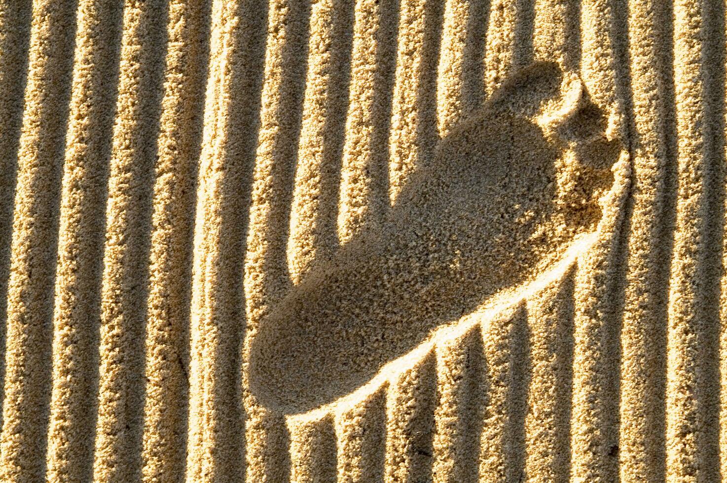 traces de pas dans le sable photo