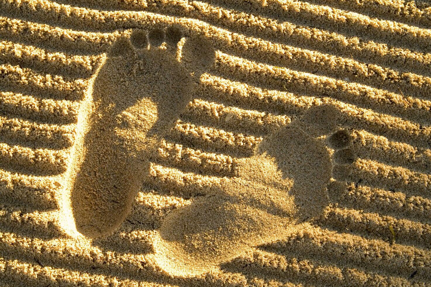 traces de pas dans le sable photo