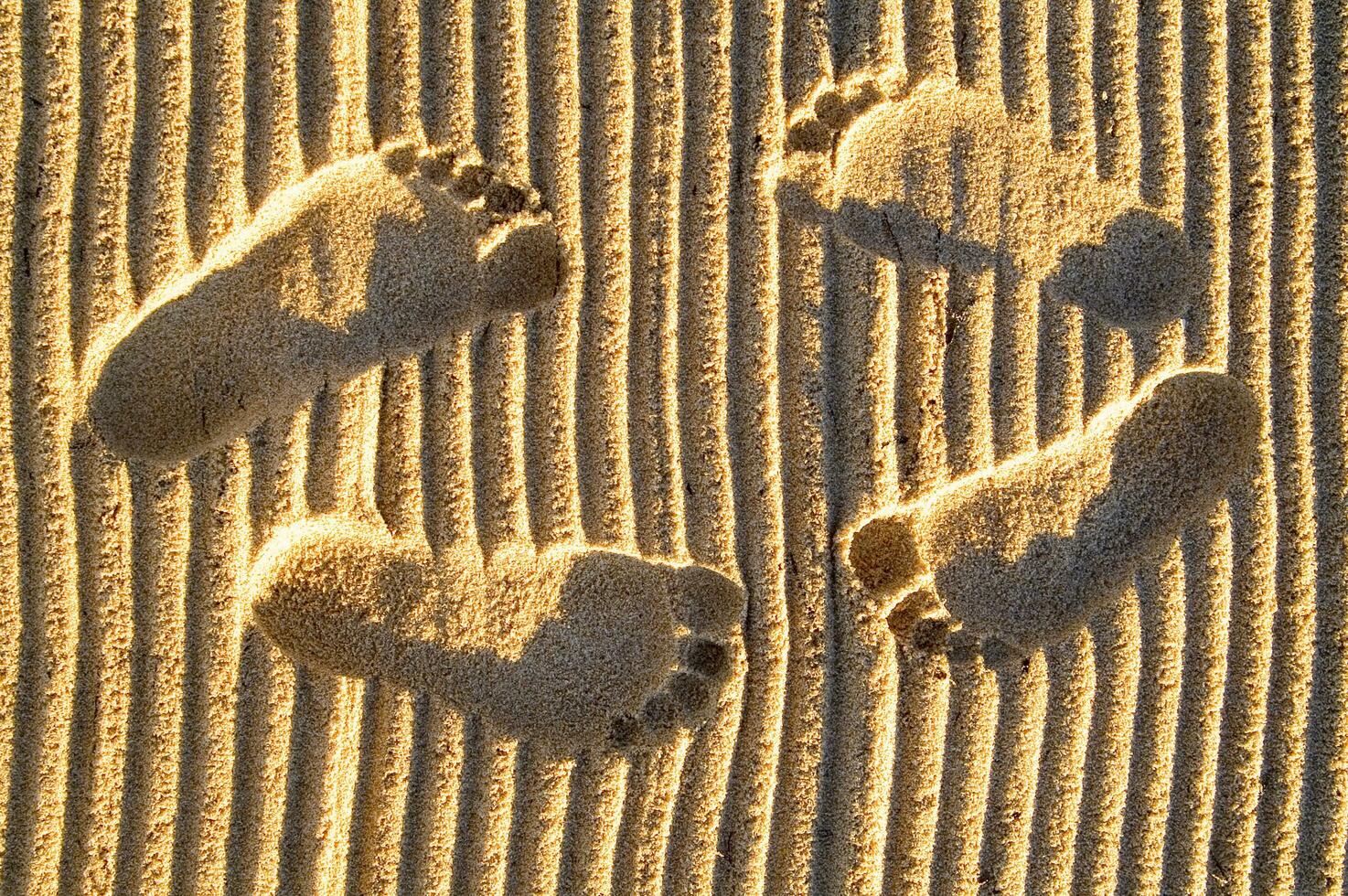 traces de pas dans le sable photo