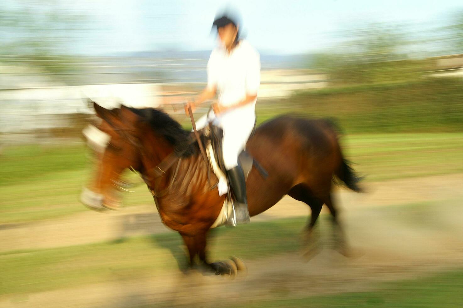 une la personne équitation une cheval photo