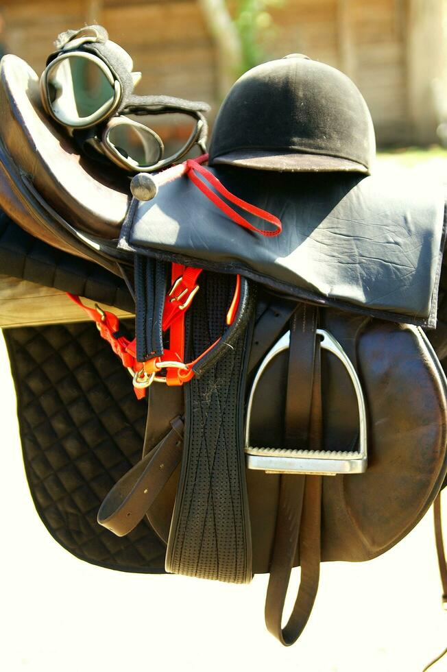 une proche en haut de une les chevaux tête photo