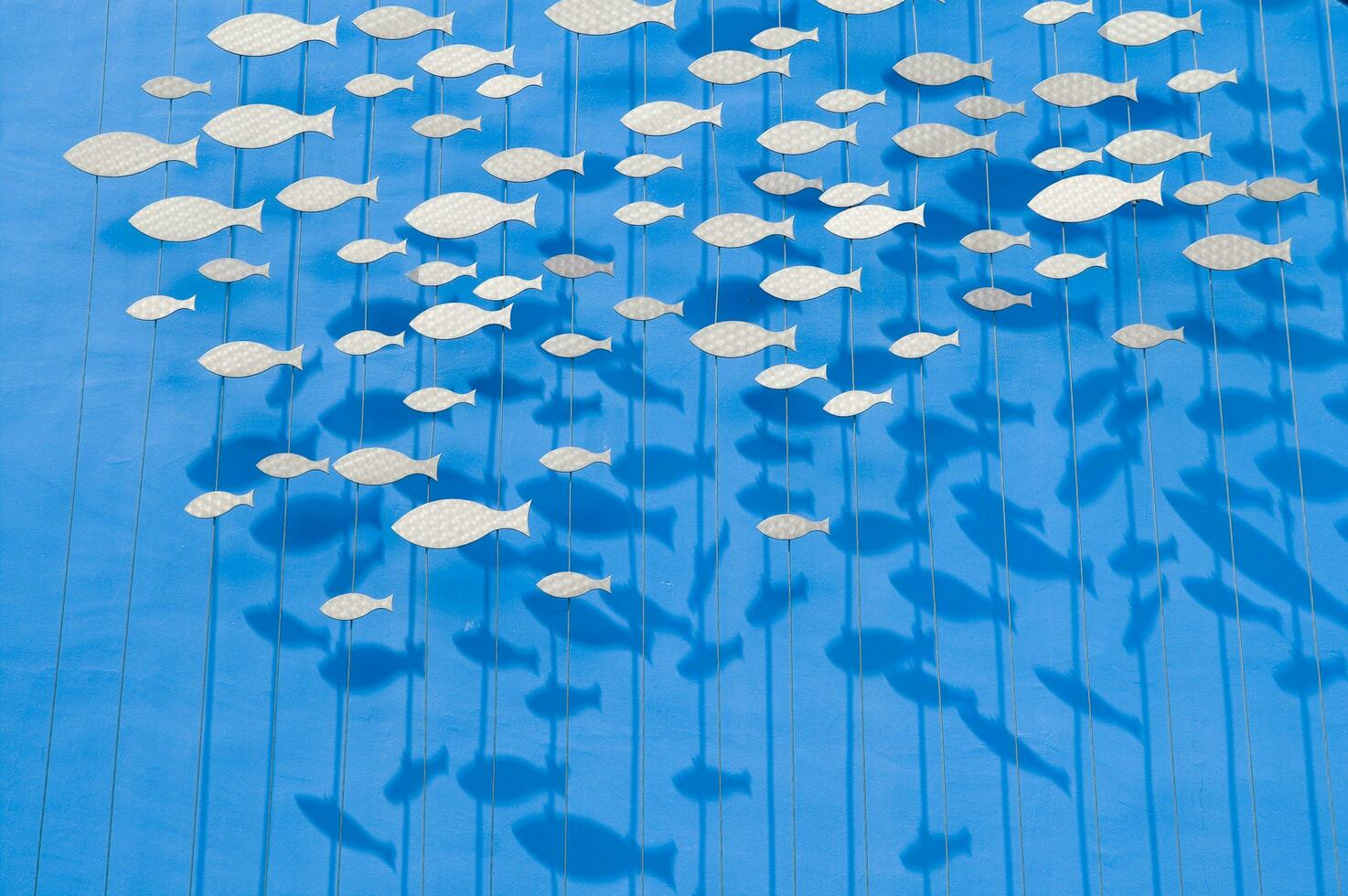 une grand groupe de poisson sur une bleu Contexte photo