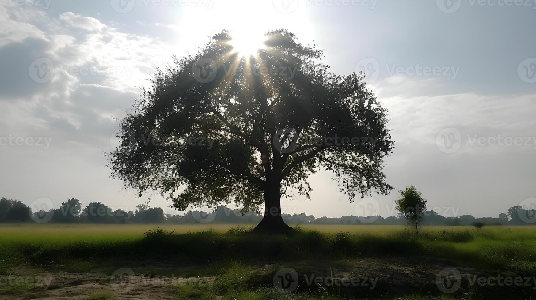 une silhouette de une grand arbre avec Prairie et la nature des arbres à le Contexte dans une brillant ensoleillé journée et Soleil éblouissement. ai généré photo