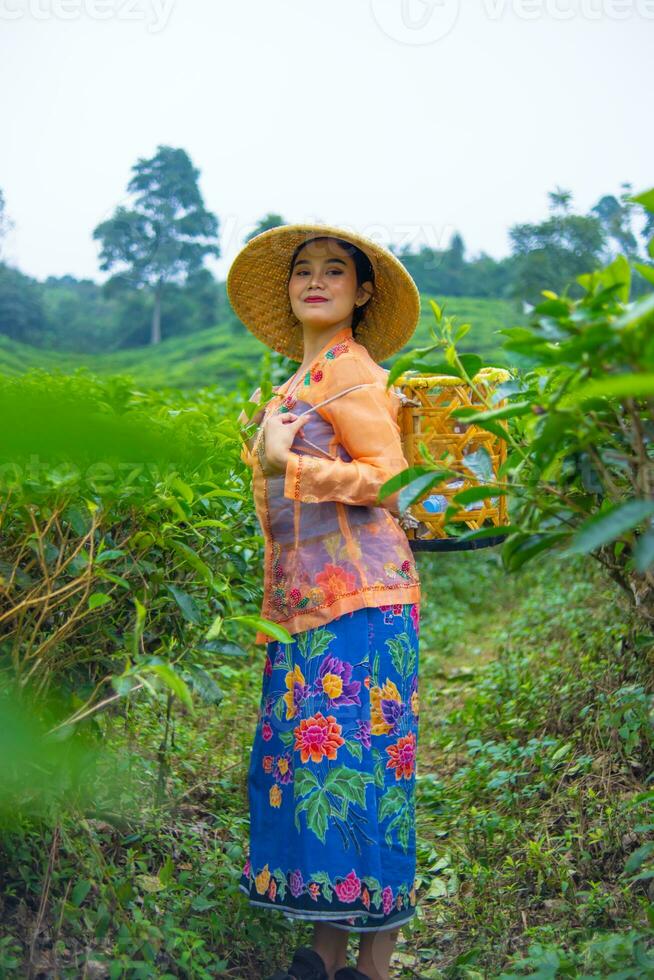 un indonésien femme travail comme une thé plantation agriculteur portant un Orange chemise photo