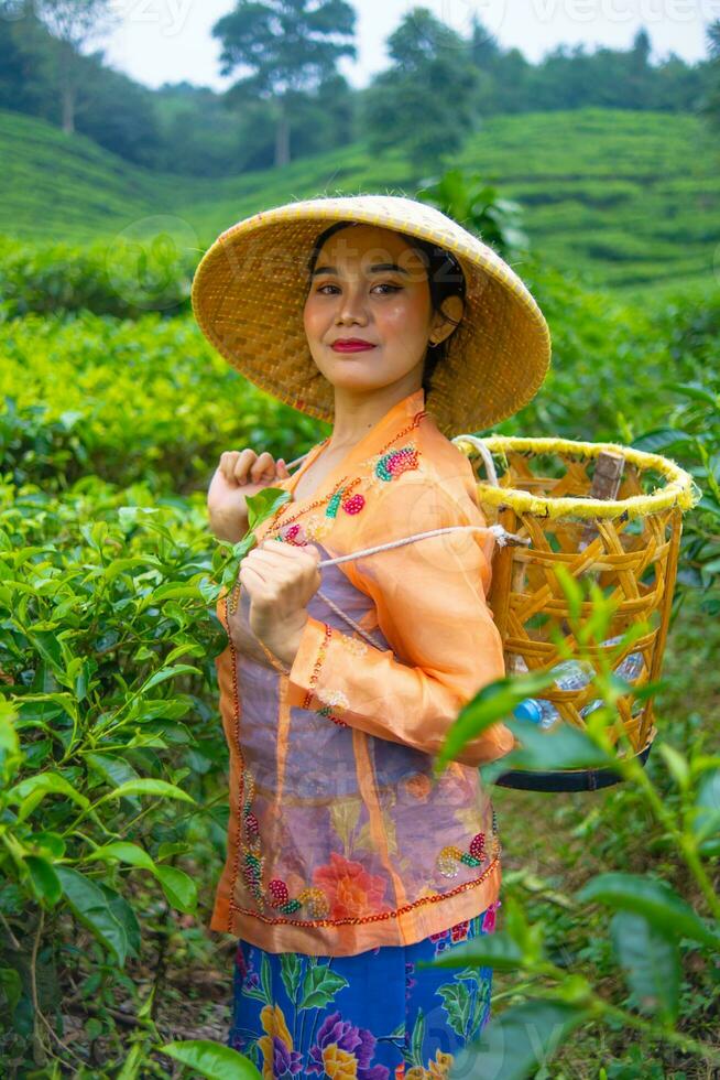 un indonésien femme travail comme une thé plantation agriculteur portant un Orange chemise photo