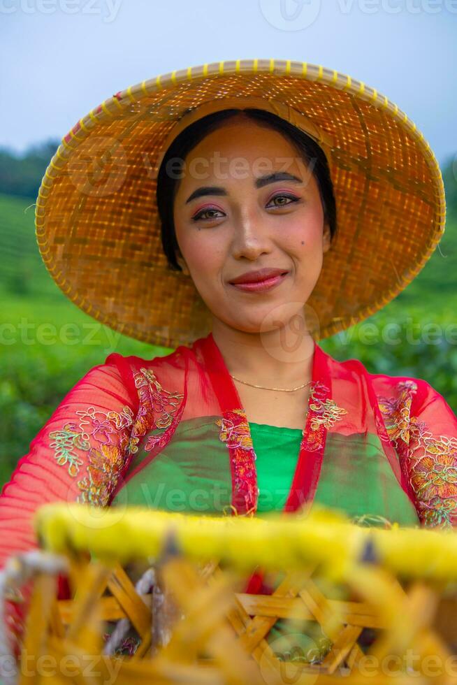 une thé feuille agriculteur est profiter le vue de le thé jardin tandis que en portant une panier photo
