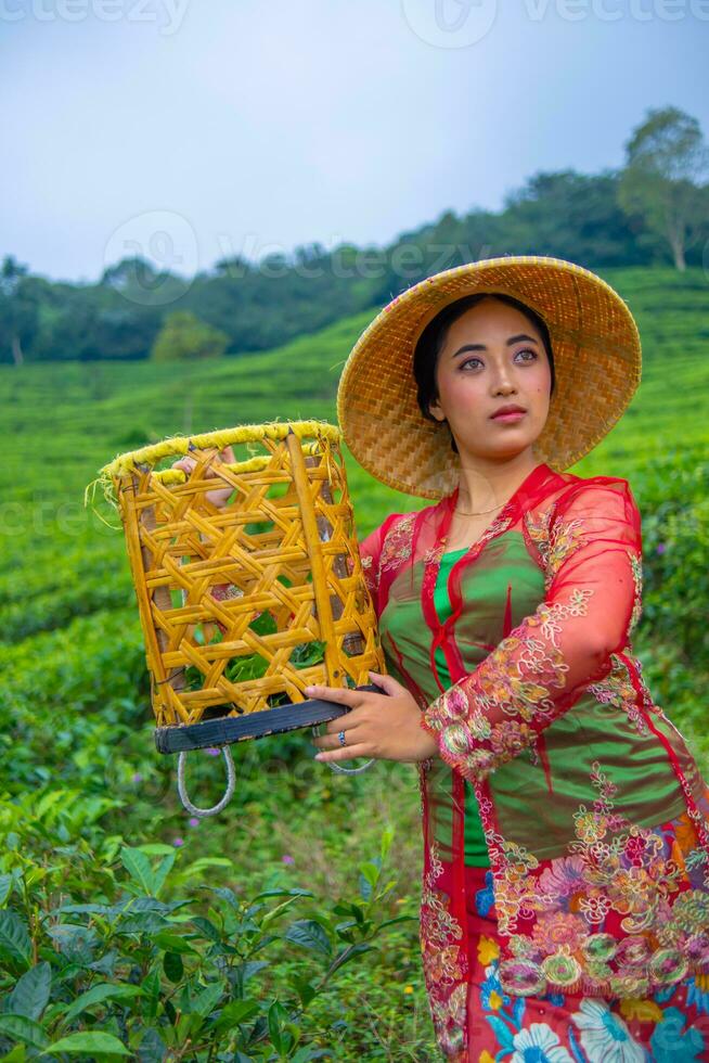 une thé feuille agriculteur posant avec une bambou panier dans le sien mains de bonne heure photo