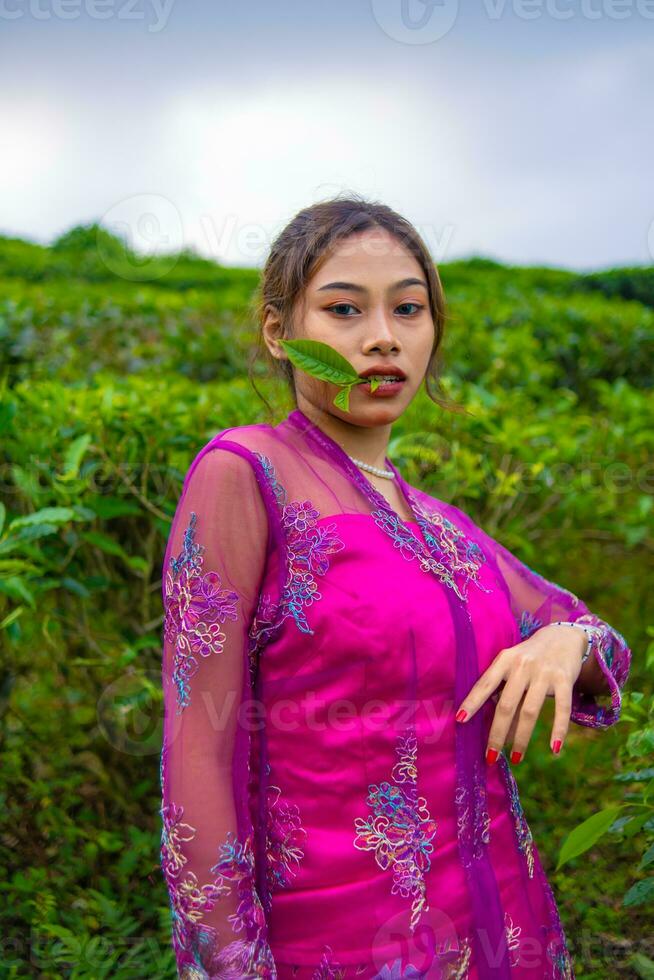 un asiatique femme dans une rose robe est permanent dans de face de une thé jardin photo