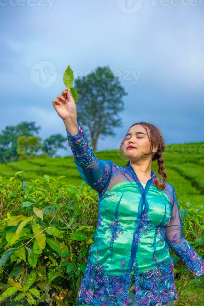 une thé jardin agriculteur est posant magnifiquement dans le milieu de vert thé feuilles photo