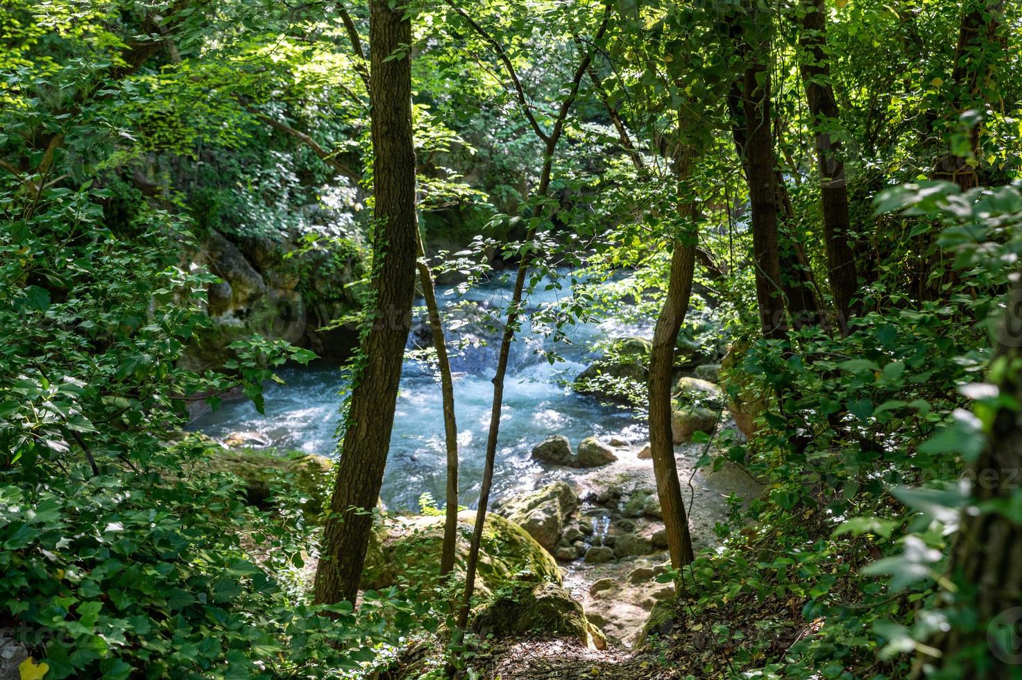 rivière dans les bois venant de la cascade de la marmore photo