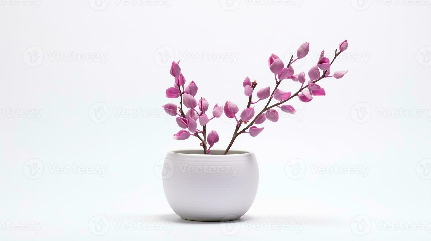 photo de redbud fleur dans pot isolé sur blanc Contexte. génératif ai