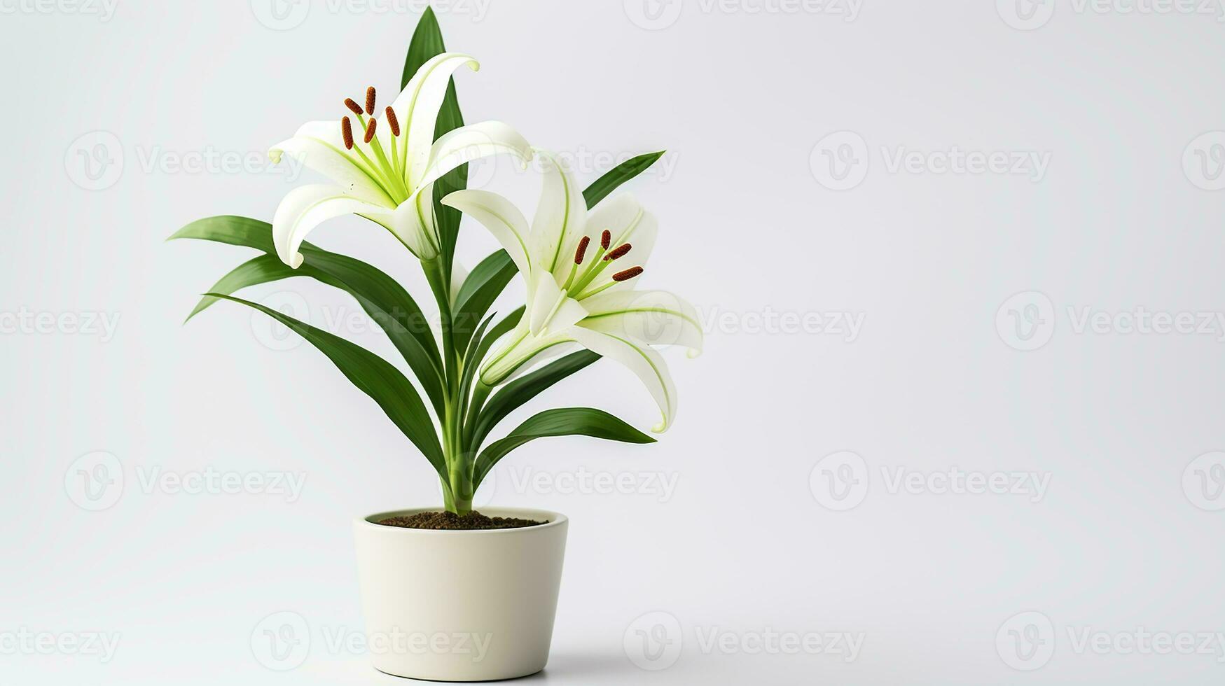 photo de lis fleur dans pot isolé sur blanc Contexte. génératif ai