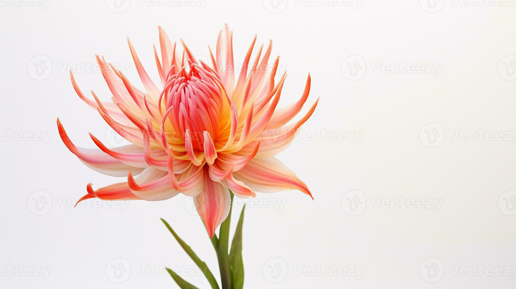 photo de magnifique torche lis fleur isolé sur blanc Contexte. génératif ai