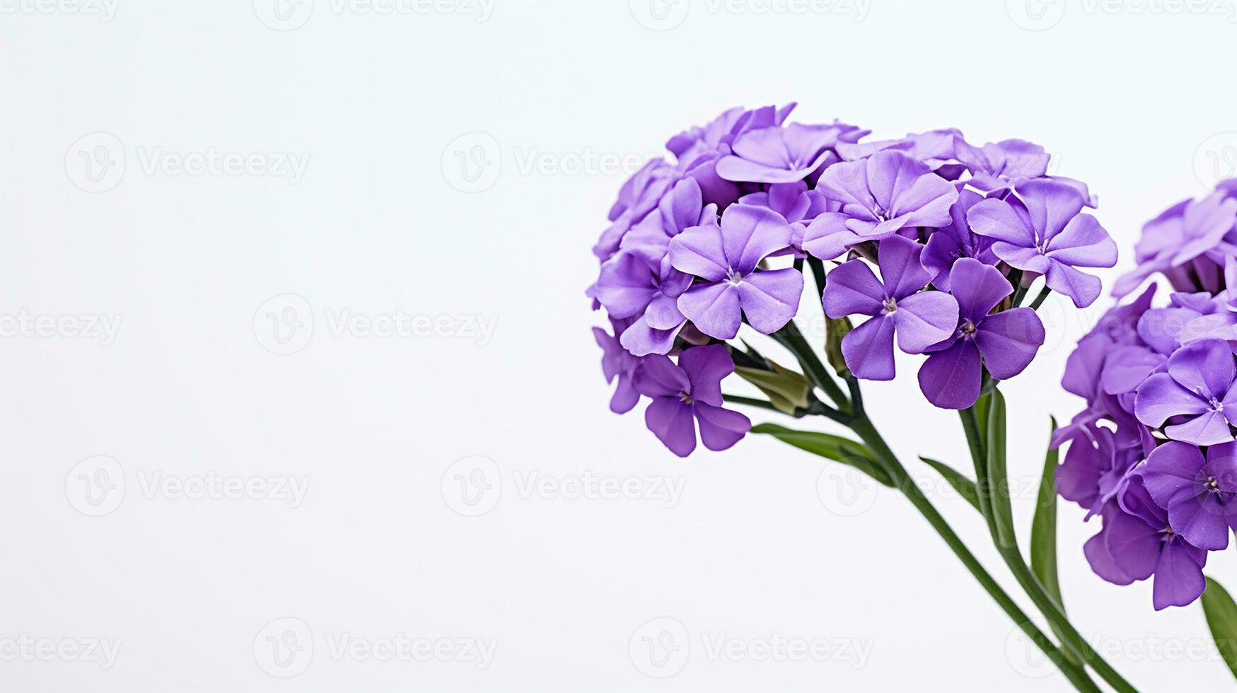 photo de magnifique statice fleur isolé sur blanc Contexte. génératif ai