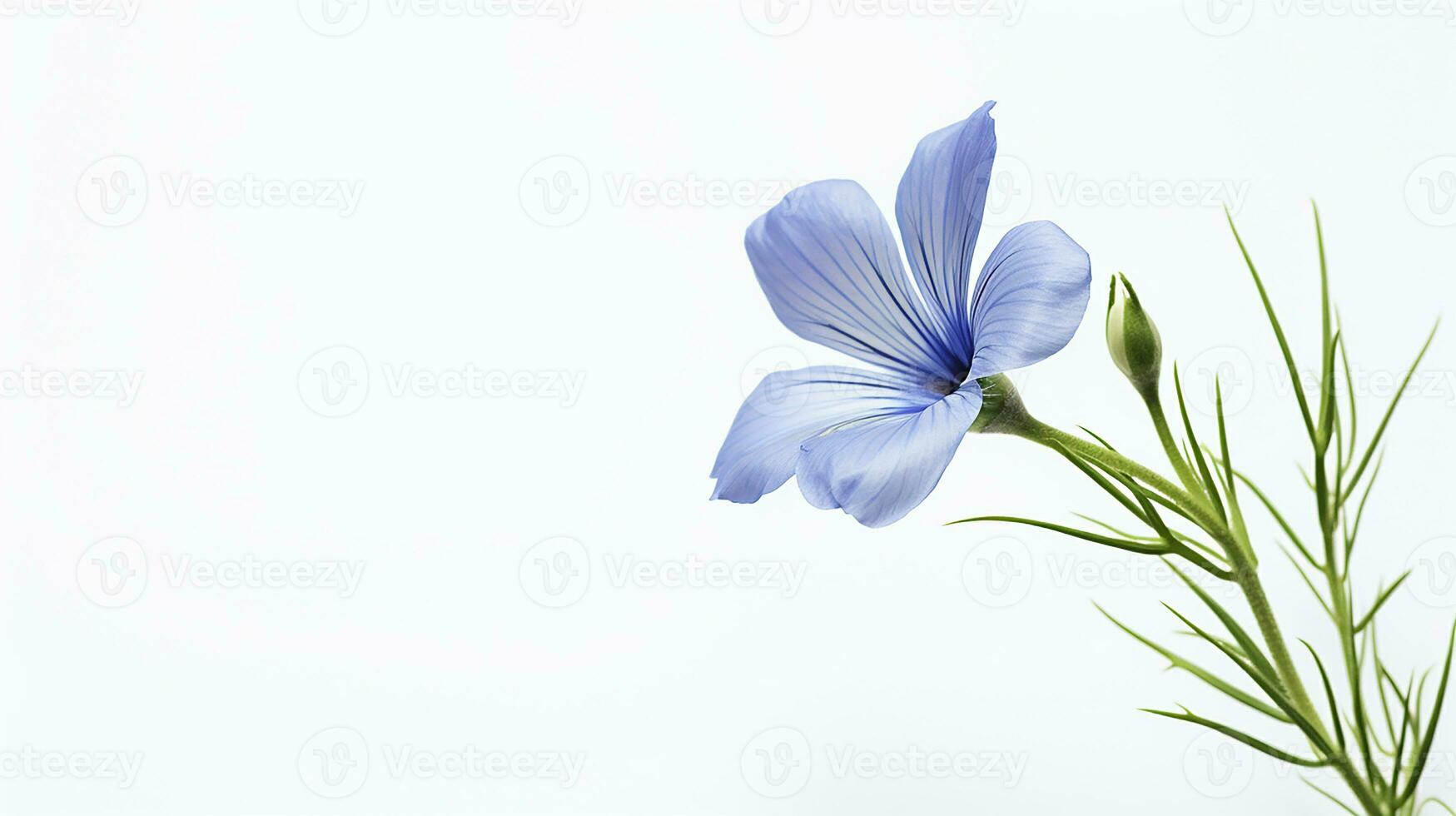 photo de magnifique lin fleur isolé sur blanc Contexte. génératif ai