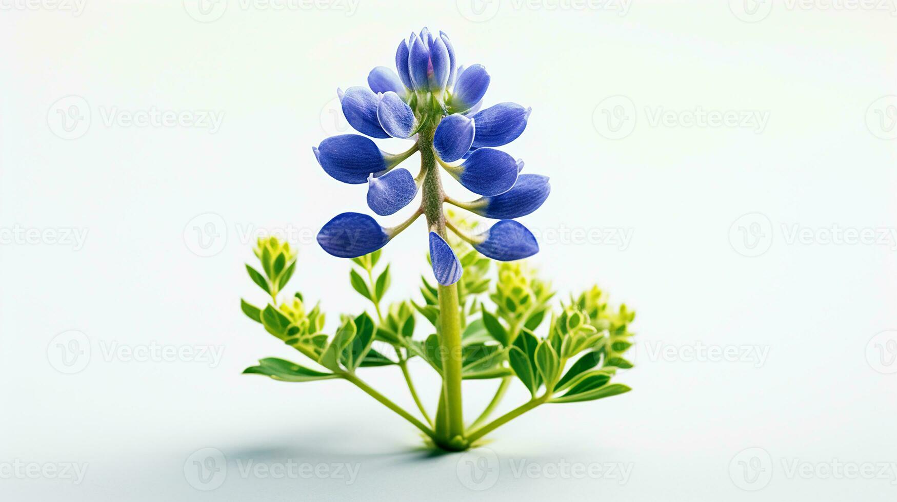 photo de magnifique bluebonnet fleur isolé sur blanc Contexte. génératif ai