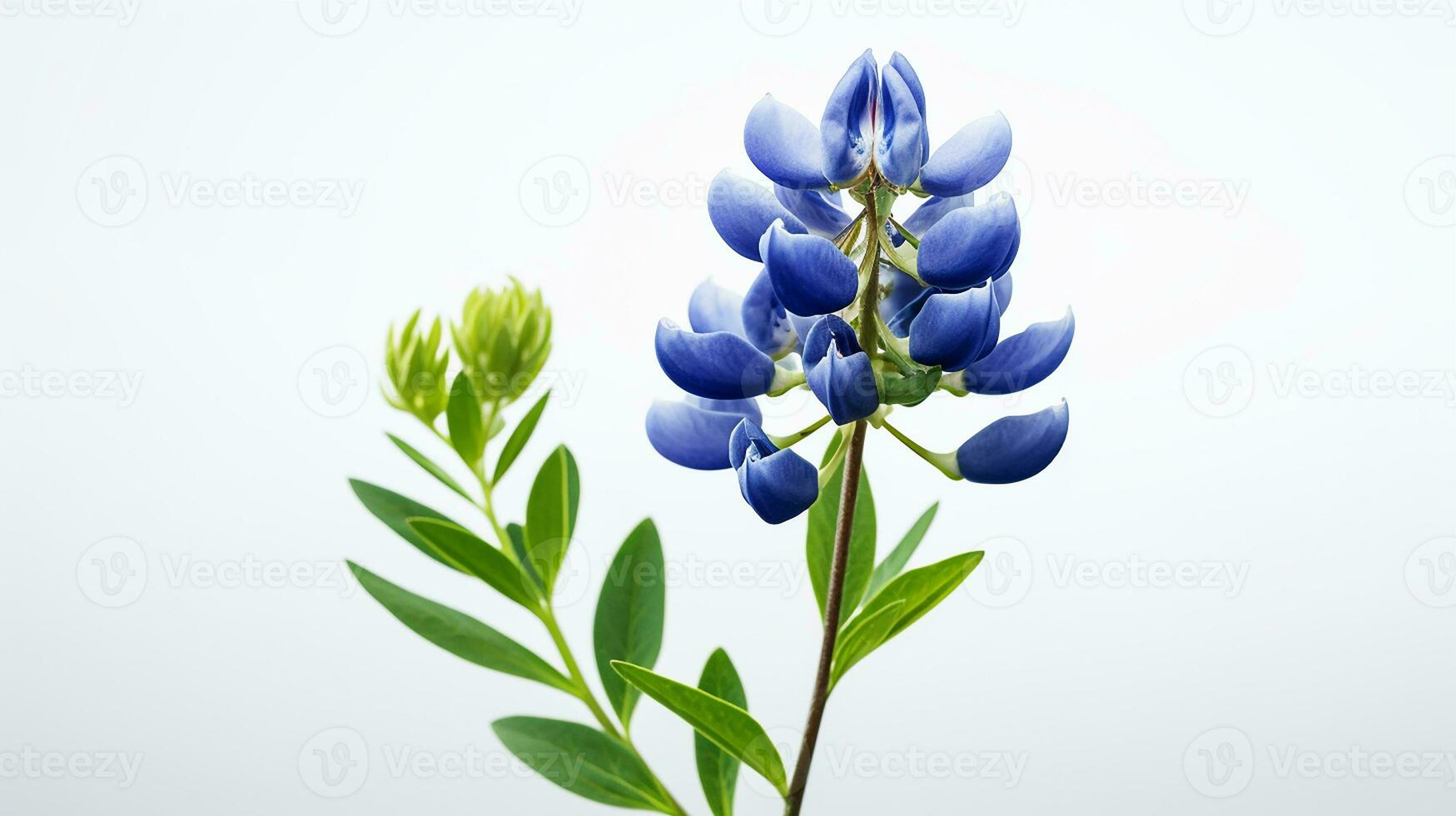 photo de magnifique bluebonnet fleur isolé sur blanc Contexte. génératif ai