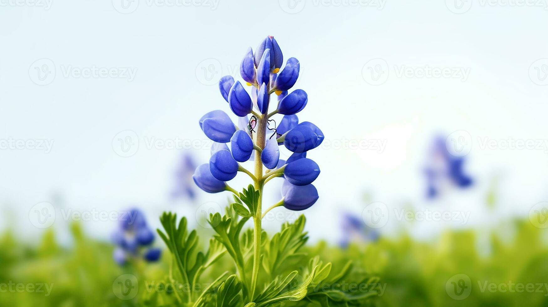 photo de magnifique bluebonnet fleur isolé sur blanc Contexte. génératif ai