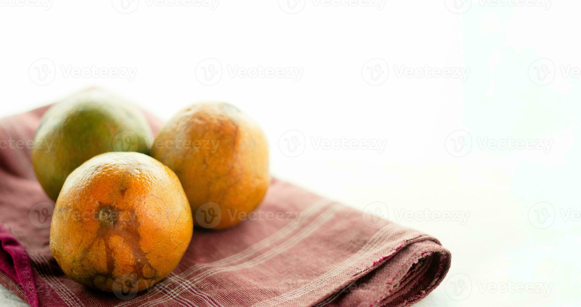 des oranges cette avoir séché en haut sur une blanc Contexte. photo
