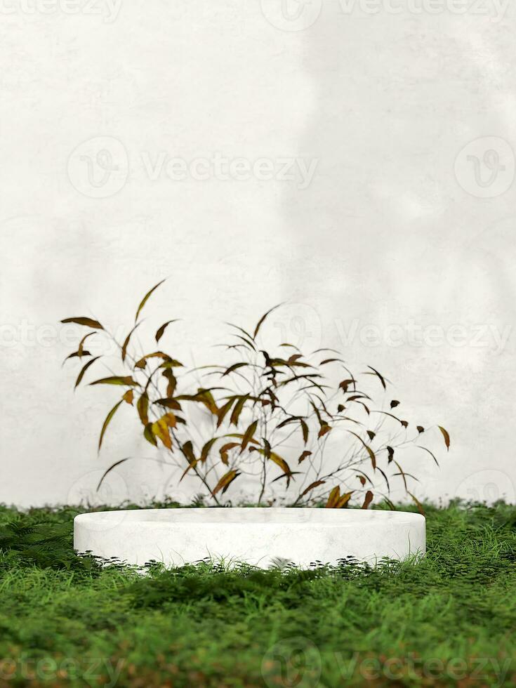 marbre podium avec forêt herbe et les plantes produit afficher scène photo