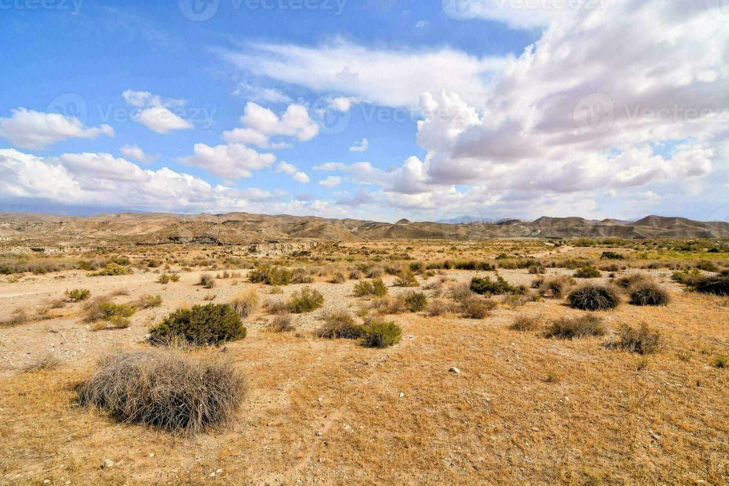 une désert paysage avec des buissons et arbustes photo