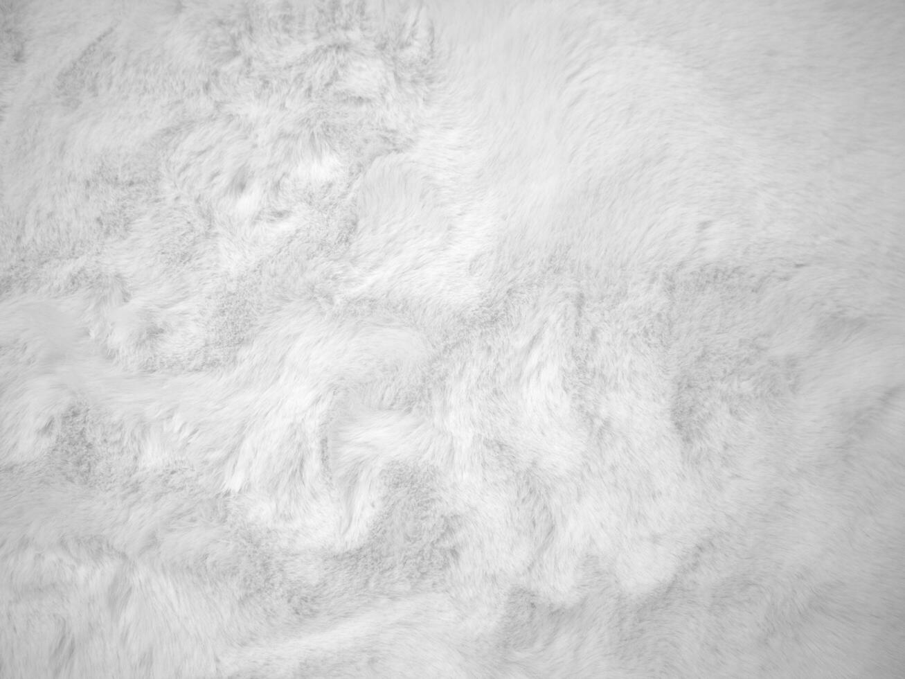 fond de texture de laine propre blanche. laine de mouton naturelle légère. coton blanc sans couture. texture de fourrure moelleuse pour les concepteurs. gros plan fragment tapis de laine blanche.. photo