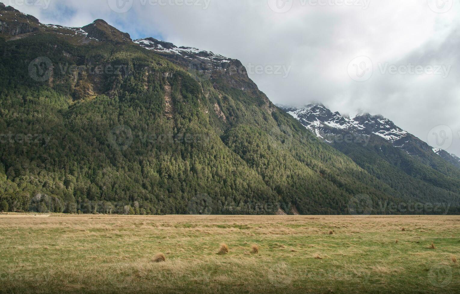 le paysage vue de églinton vallée le spectaculaire paysage sur le route à Milford du son dans Sud île de Nouveau zélande. photo